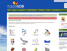 Tablet Screenshot of beta.maizegdb.org