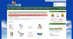 Desktop Screenshot of maizegdb.org