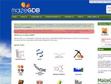 Tablet Screenshot of maizegdb.org